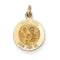 14k Yellow Gold St. Mark Medal Charm (19X12MM)