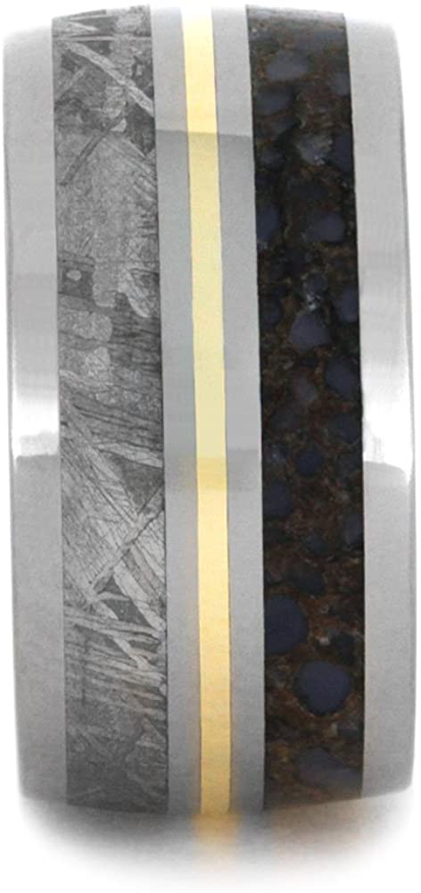 Dinosaur Bone, Gibeon Meteorite, 14k Yellow Gold 12mm Comfort-Fit Titanium Band, Size 9.75