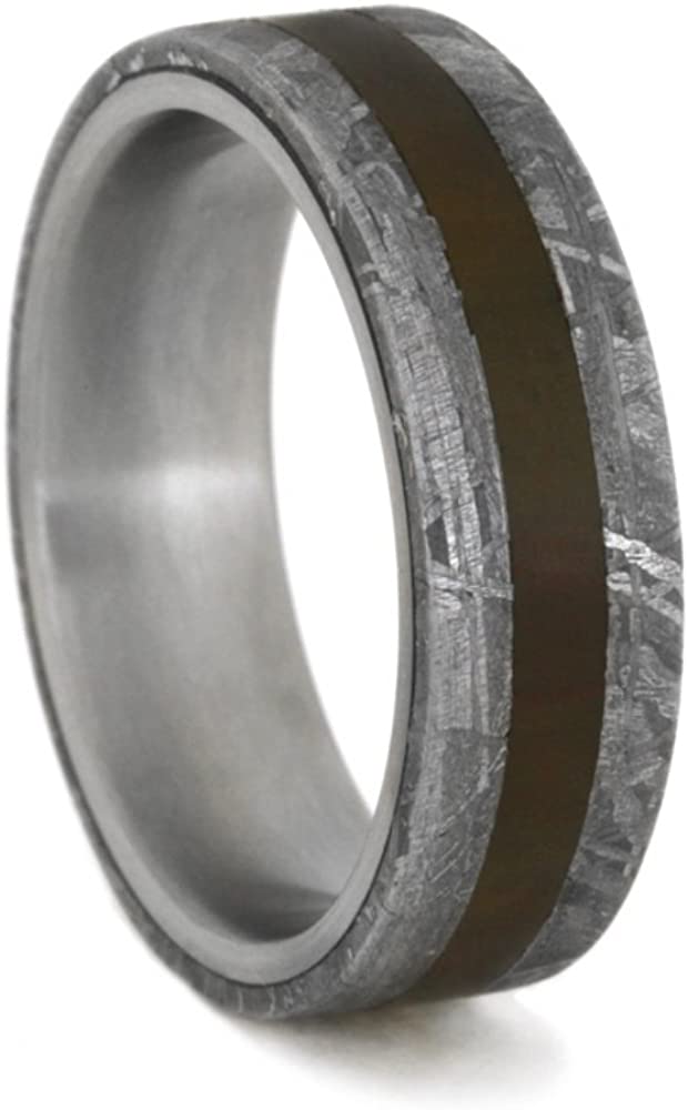 Gibeon Meteorite, Petrified Wood 6mm Comfort-Fit Matte Titanium Band, Size 6.25