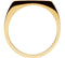 Men's 10k Yellow Gold Brushed Finish Flat-Top Signet Ring