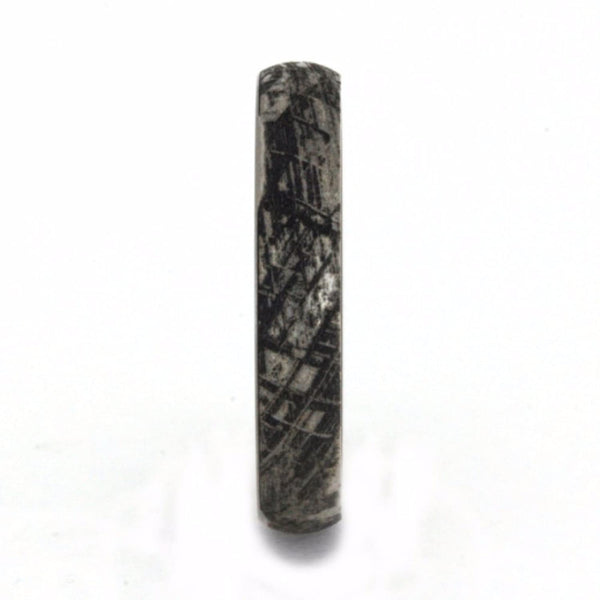 Mimetic Meteorite, Kauri Wood 4mm Comfort-Fit Matte Titanium Wedding Band Size 9.5
