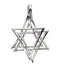 Star of David 14k White Gold Pendant (Made in Holy Land)