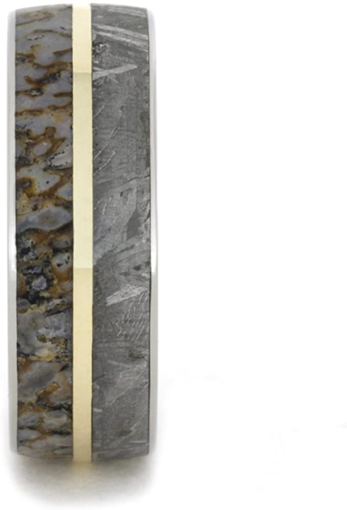Gibeon Meteorite, Dinosaur Bone, 14k Yellow Gold 8mm Comfort Fit Titanium Band, Size 6.25
