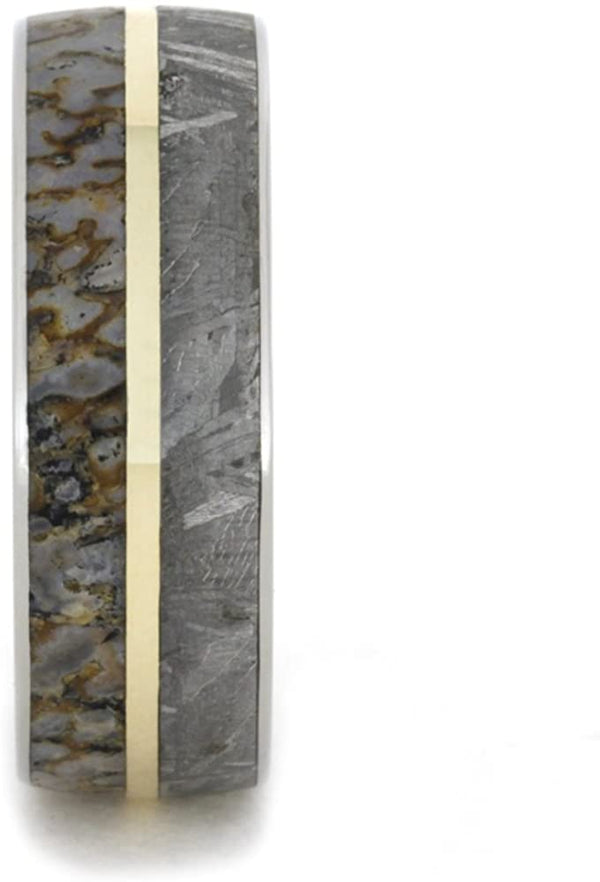 Gibeon Meteorite, Dinosaur Bone, 14k Yellow Gold 8mm Comfort Fit Titanium Band, Size 13