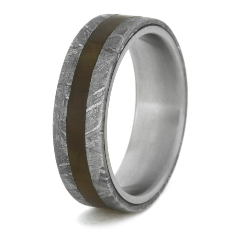 Gibeon Meteorite, Petrified Wood 6mm Comfort-Fit Matte Titanium Band