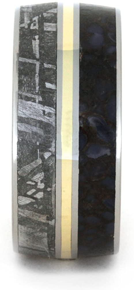 Dinosaur Bone, Gibeon Meteorite, Titanium, 14k Yellow Gold 10mm Comfort-Fit Whiskey Barrel Oak Wood Band, Size 14