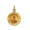 14k Yellow Gold Sacred Heart of Jesus Medal (22 MM)