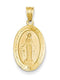 14k Yellow Gold Miraculous Medal Charm Pendant (27X14 MM)