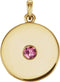 Round Pink Tourmaline Disc Pendant, 14k Yellow Gold