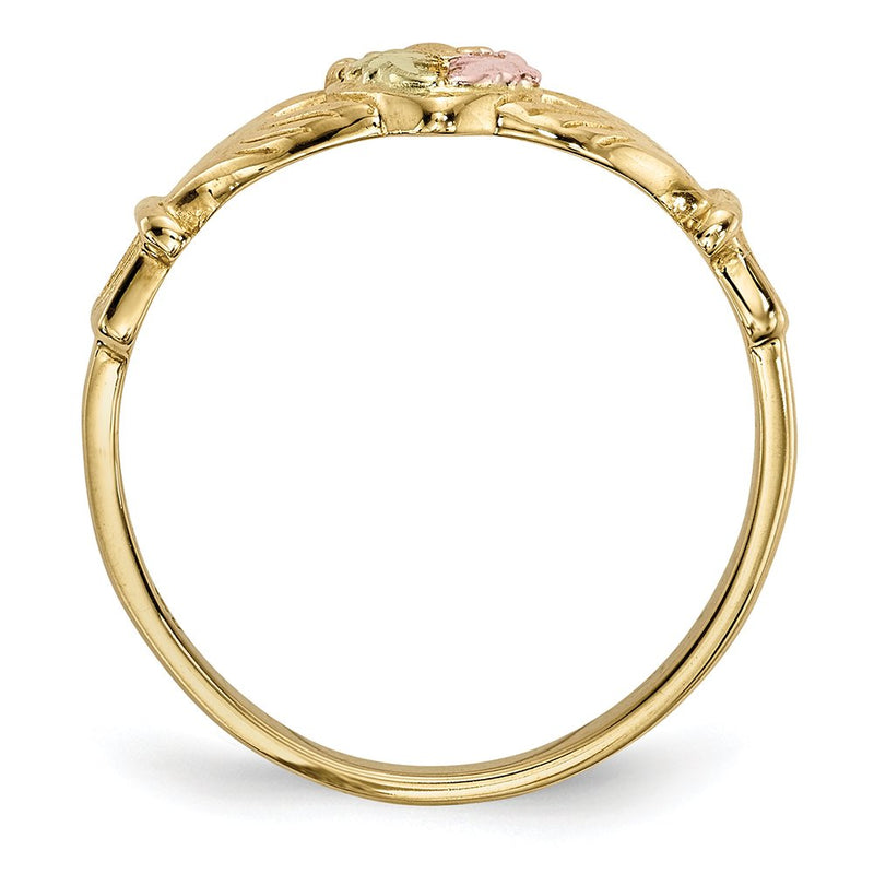 Ave 369 10k Yellow Gold Claddagh Ring, 12k Pink and Green Gold Black Hills Gold Motif