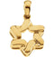 Star of David 14k Yellow Gold Pendant (Made in Holy Land)