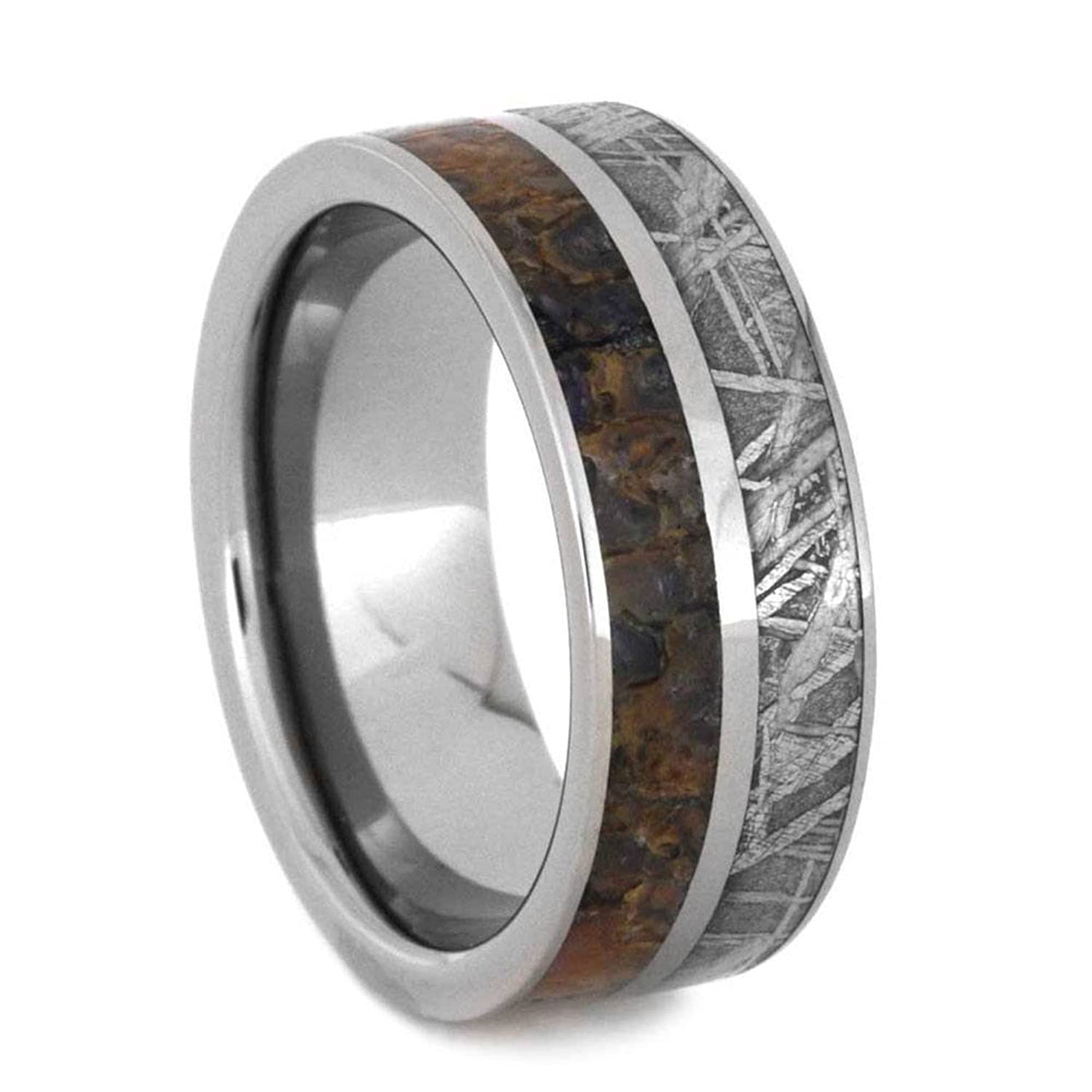 Gibeon Meteorite and Dinosaur Bone 8mm Comfort-Fit Titanium Band