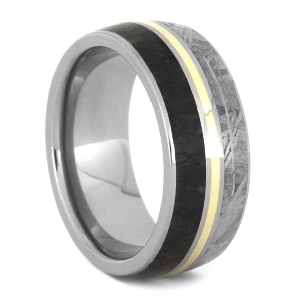 Dinosaur Bone, Gibeon Meteorite, 14k Yellow Gold 9mm Titanium Comfort-Fit Wedding Band