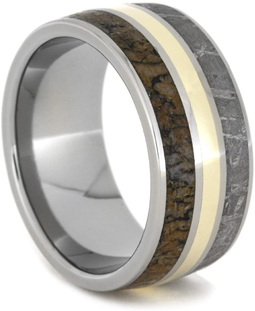 Dinosaur Bone, Gibeon Meteorite, 14k Yellow Gold 11mm Comfort-Fit Titanium Band, Size 9