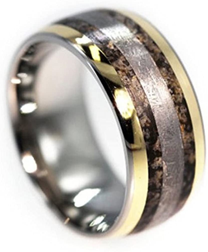 Dinosaur Bone, Gibeon Meteorite, 14k Yellow Gold 11mm Comfort Fit Titanium Wedding Band