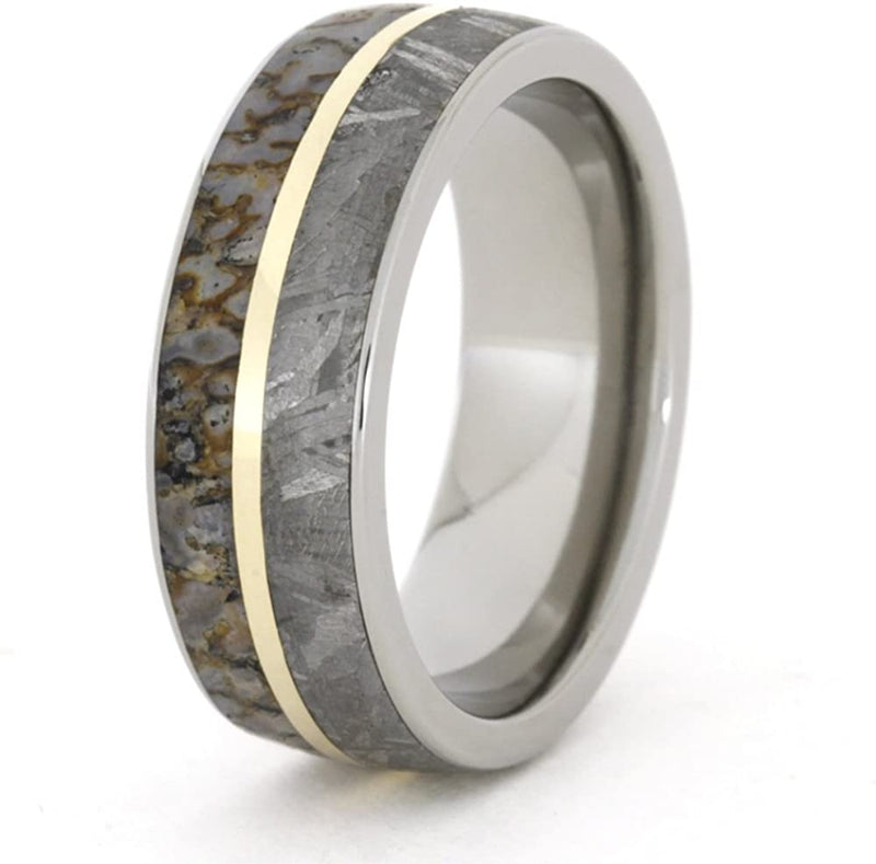 Gibeon Meteorite, Dinosaur Bone, 14k Yellow Gold 8mm Comfort Fit Titanium Band, Size 13