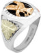 Men's 10k Yellow Gold Eagle and Onyx Ring, Sterling Silver, 12k Green and Rose Gold Black Hills Gold Motif, Size 11.5