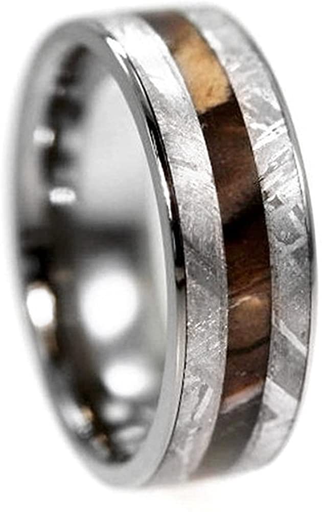 Gibeon Meteorite, Petrified Wood 7mm Comfort-Fit Titanium Ring, Size 8.75