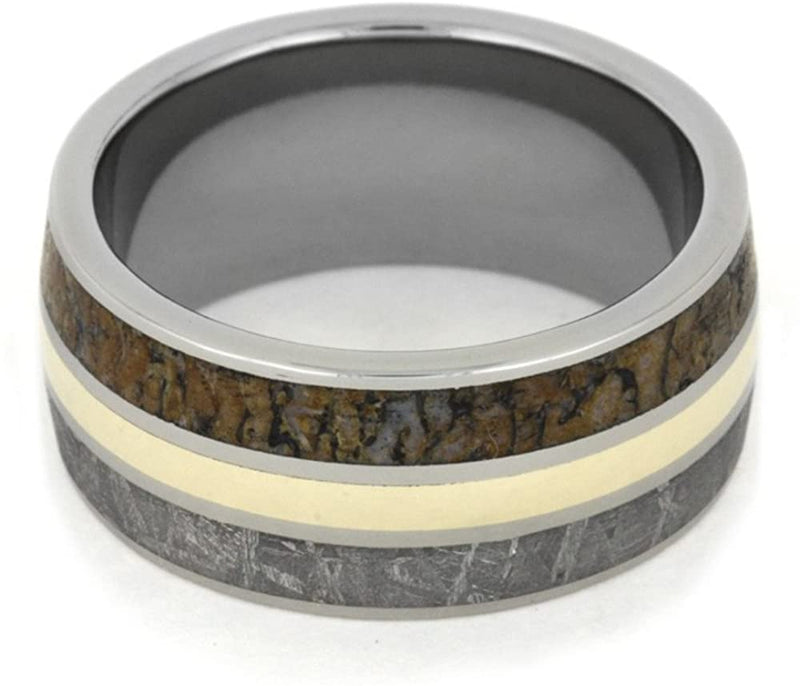 Dinosaur Bone, Gibeon Meteorite, 14k Yellow Gold 11mm Comfort-Fit Titanium Band, Size 9