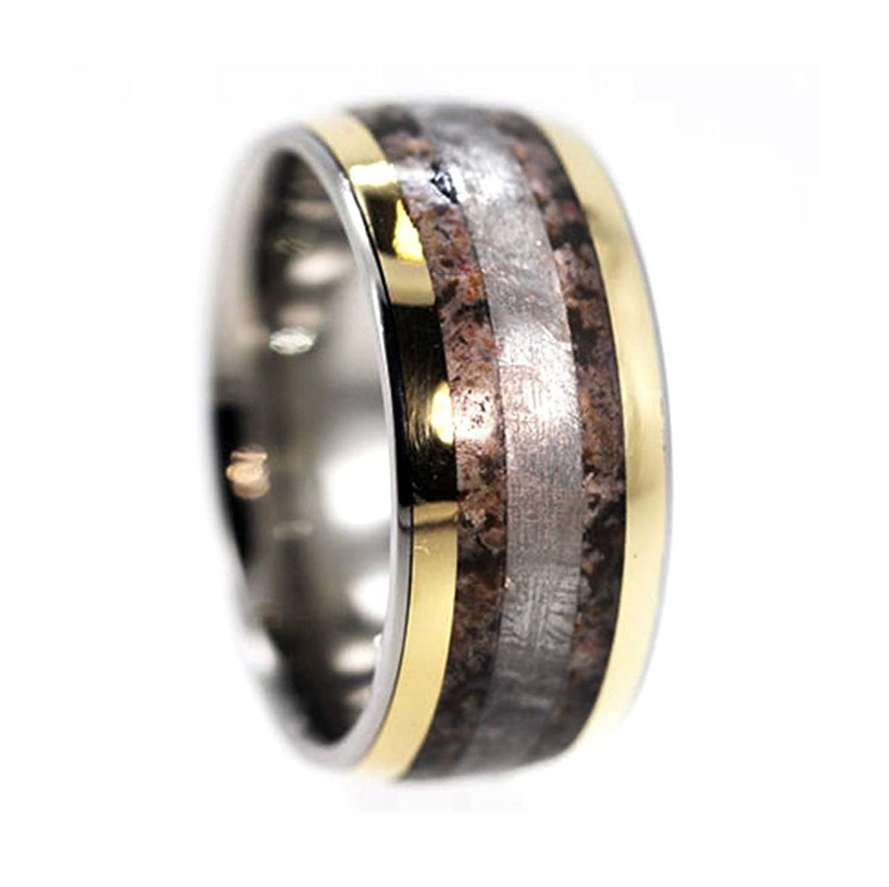 Dinosaur Bone, 14k Yellow Gold Pinstripe, Gibeon Meteorite 11mm Comfort Fit Titanium Wedding Band