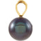 Black Akoya Cultured Pearl 14k Yellow Gold Pendant (6.00MM)