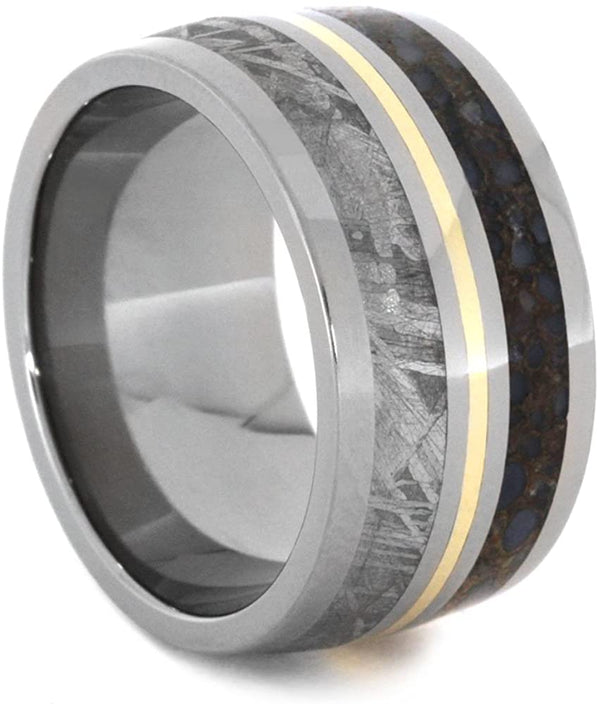 Dinosaur Bone, Gibeon Meteorite, 14k Yellow Gold 12mm Comfort-Fit Titanium Band, Size 11.25