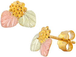 Grape Earrings, 10k Yellow Gold, 12k Green and Rose Gold Black Hills Gold Motif