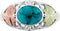 Inlaid Oval Turquoise with Leaves Ring, Sterling Silver, 12k Green and Rose Gold Black Hills Gold Motif, Size 4.25